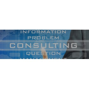 Consultation Services